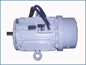 Brake Motor