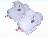 Industrial Brake Motor