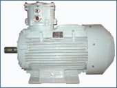 Dual Speed FLP Brake Motor