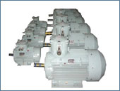 Marine Type FLP Motors for Car Deck Ventilation