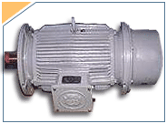 Marine Motor Exporters, Vibratory Motor Exporters, Brake Motor Exporters, FLP Motors, Winged Motor Exporters, Dual Speed And Three Speed Motor Exporters, Salvage Pump Motor Exporters, Pump Exporters,Other Non Standard Motor Exporters, Control Panels Exporters