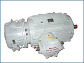Dual Speed FLP Brake Motor